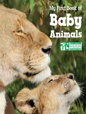 cover image of My First Book of Baby Animals (National Wildlife Federation)